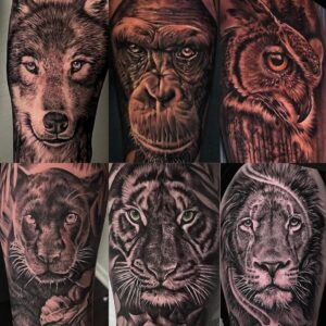 goi y hinh xam dong dong