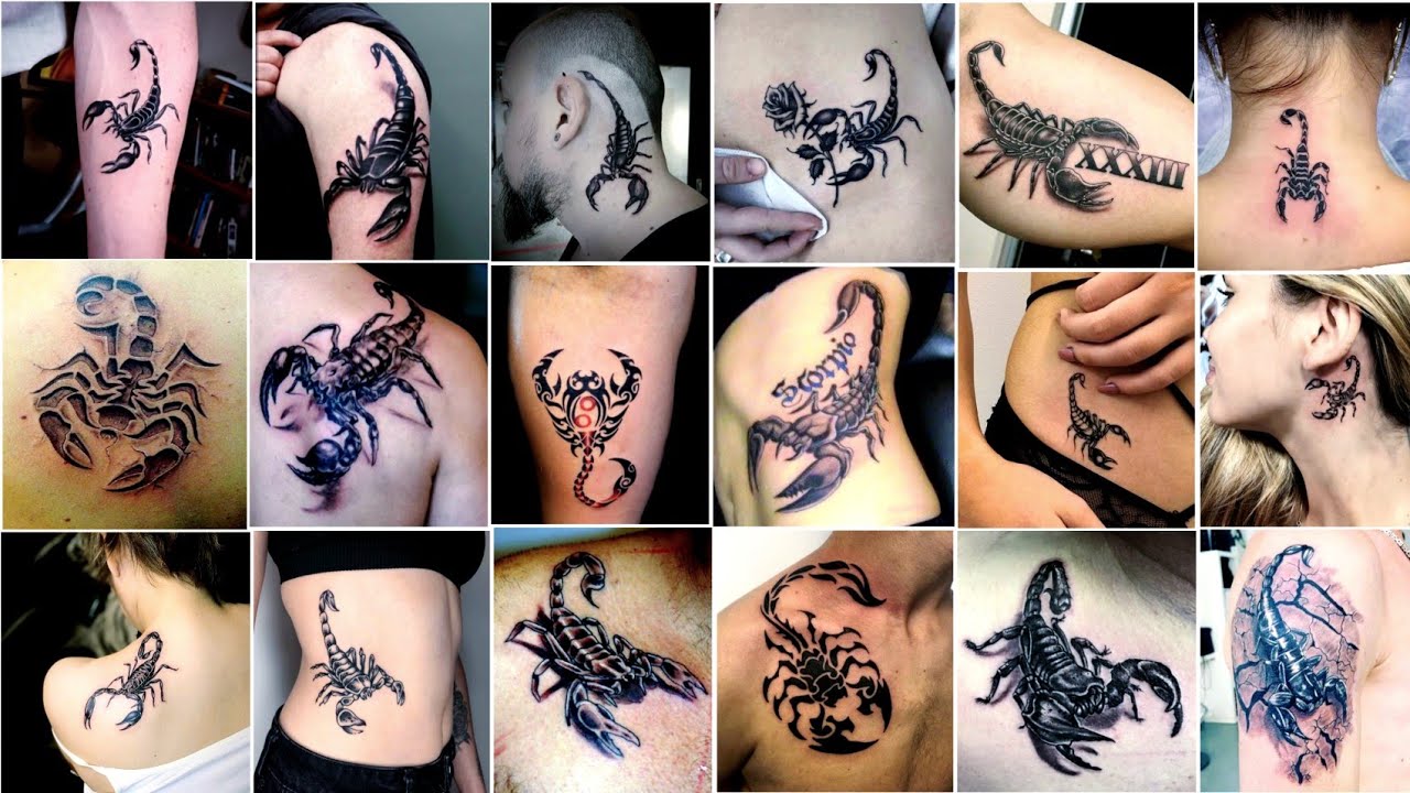 100 MẪU HÌNH XĂM CON BỌ CẠP – BIỂU TƯỢNG QUYỀN LỰC, SỨC MẠNH VÀ BÍ ẨN mau hinh xam bo cap