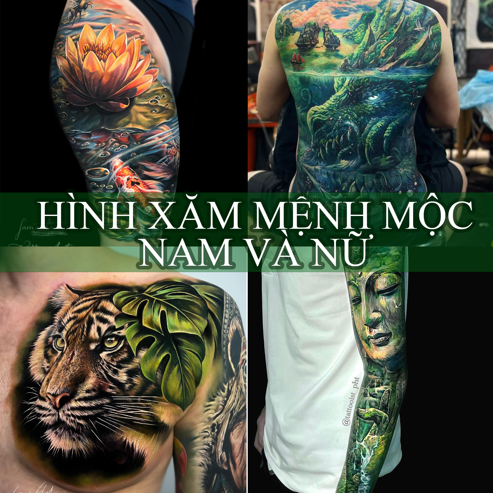 hinh xam menh moc